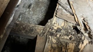 東住吉区T様邸　床下の調査とシロアリ被害