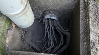 堺市西区　H様邸　排水管の洗浄工事